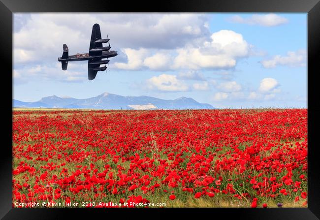 Lancaster bomber passing over a field of poppies Framed Print by Kevin Hellon
