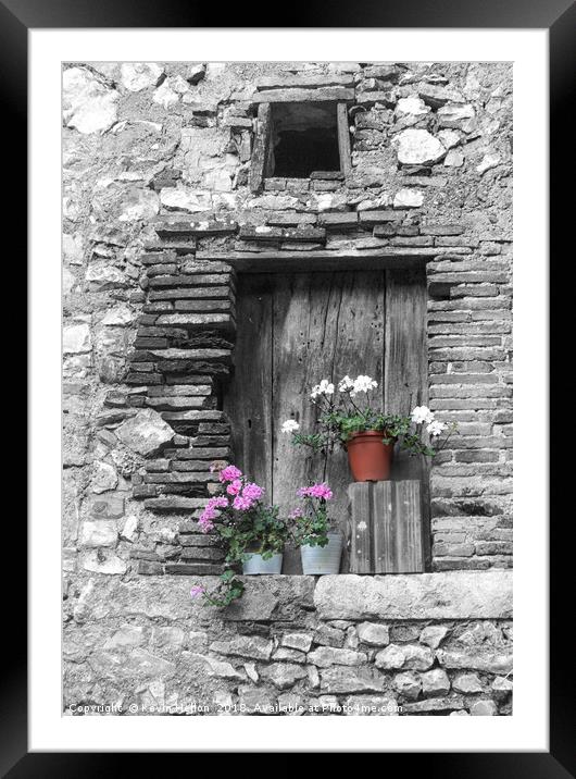 Pelagonium flowers on window sill Framed Mounted Print by Kevin Hellon