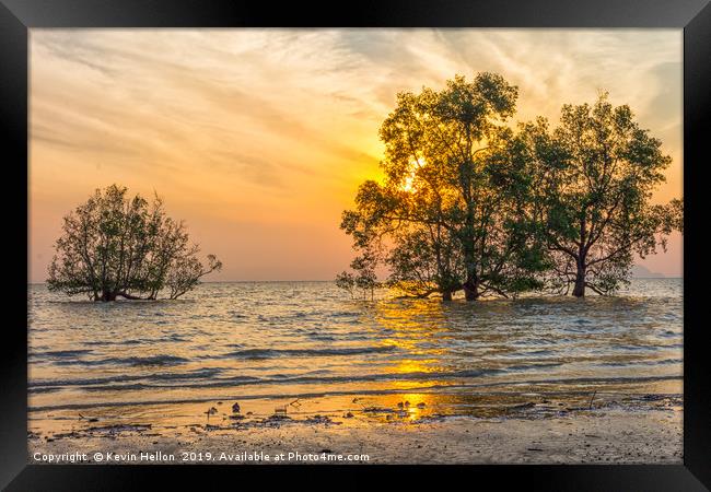 Sunrise over mangrove trees Framed Print by Kevin Hellon