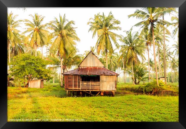 Small house surrounded by coconut palm trees Framed Print by Kevin Hellon