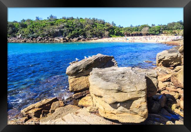 View over the rocks in Manly Framed Print by Kevin Hellon