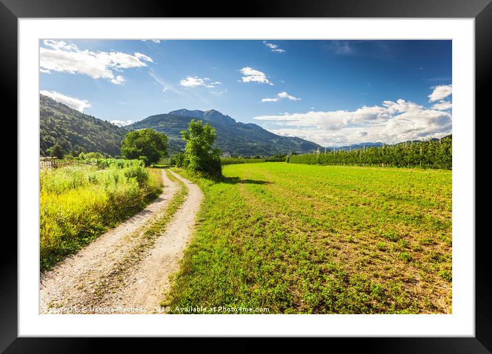 Rural road in Trento among Alps Framed Mounted Print by Natalia Macheda