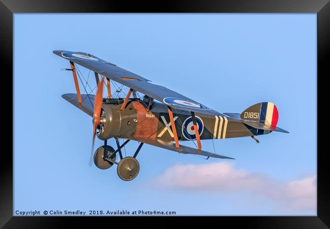 Sopwith F.1 Camel D1851 G-BZSC "Ikanopit" Framed Print by Colin Smedley