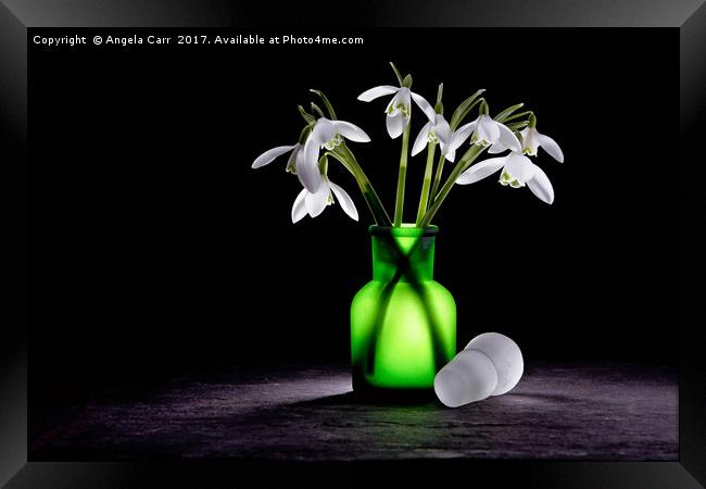 Snowdrops Framed Print by Angela Carr