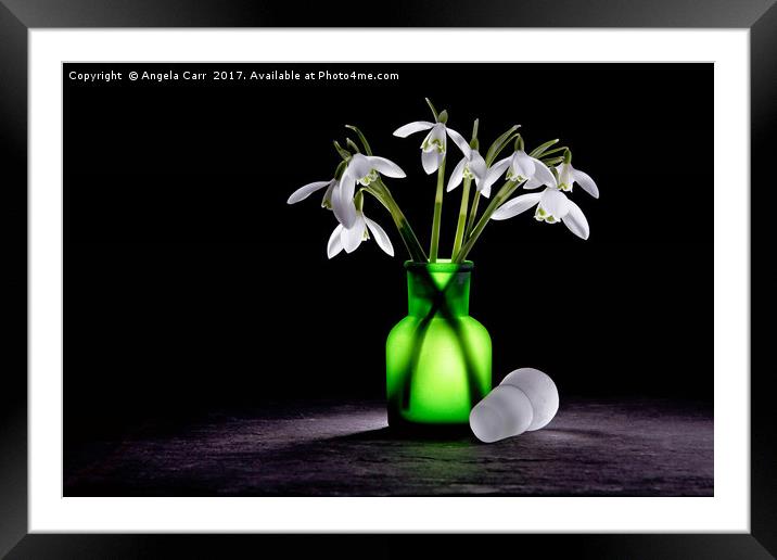 Snowdrops Framed Mounted Print by Angela Carr