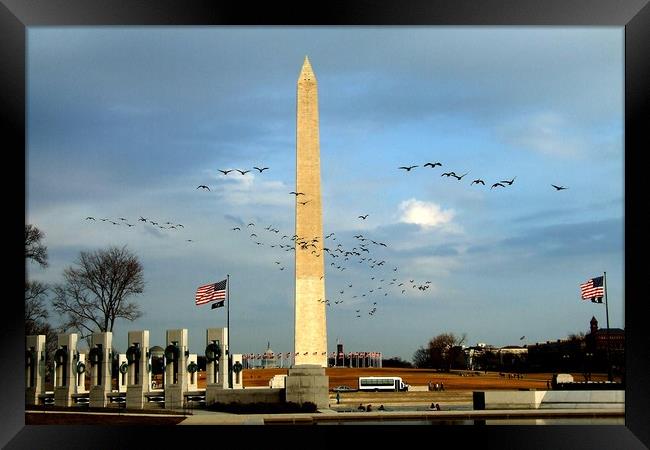 Washington Monument Framed Print by Mike Lanning