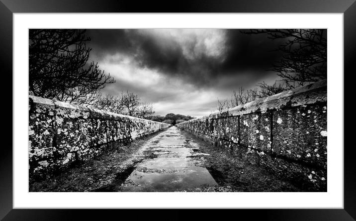 Treffry Viaduct, Luxulyan, Cornwall Framed Mounted Print by Mike Lanning