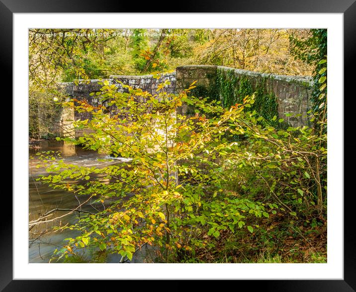 Respryn Bridge over the Fowey River Framed Mounted Print by Bob Walker