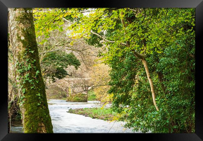 Looking at Respryn Bridge from the River Bank Framed Print by Bob Walker