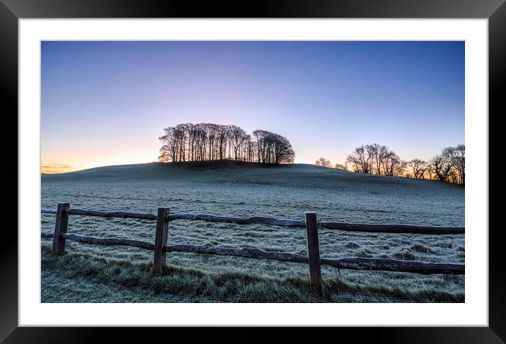 Dinefwr Park  Framed Mounted Print by Mal Spain