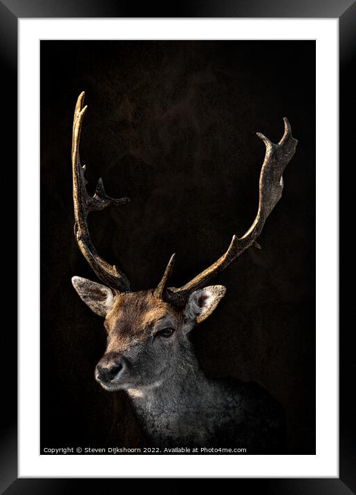 Deer with a dark background Framed Mounted Print by Steven Dijkshoorn