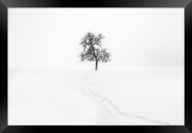 A lonely tree in the snow - Minimalism Landscape Framed Print by Steven Dijkshoorn