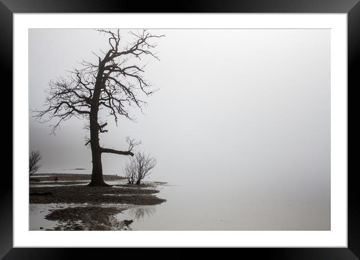 Foggy Loch Lomond Framed Mounted Print by Darren Lowe