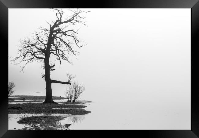 Foggy Loch Lomond Framed Print by Darren Lowe