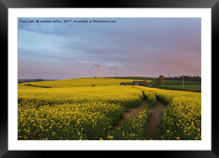 Dawn over rape seed field Framed Mounted Print by stephen tolley