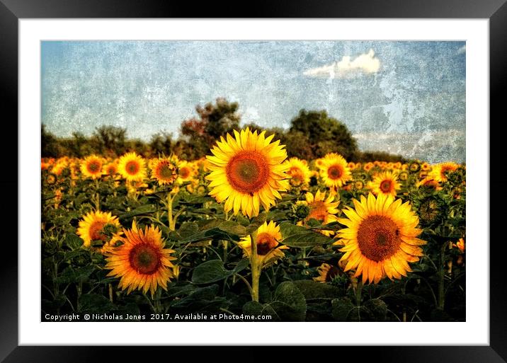 Not A Van Gogh Sunflower! Framed Mounted Print by Nicholas Jones
