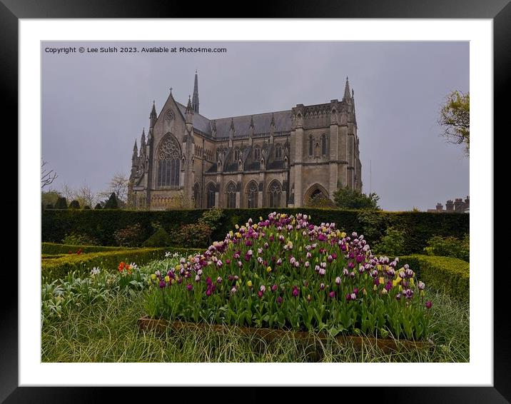 Arundel Cathedral Framed Mounted Print by Lee Sulsh