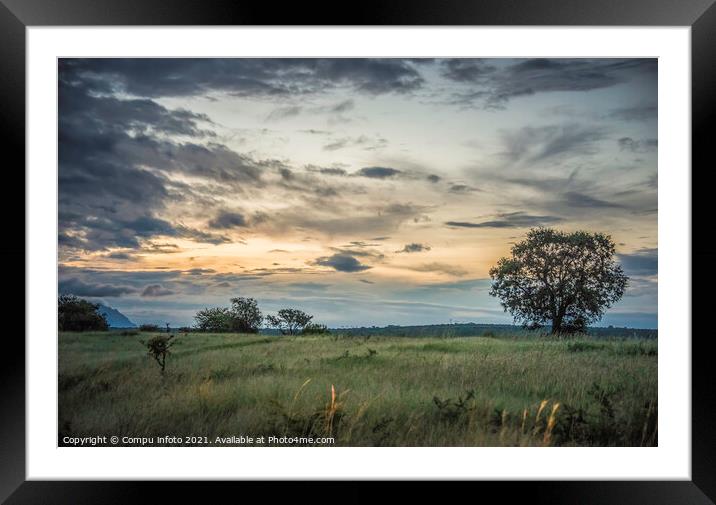 evening landscape in south africa Framed Mounted Print by Chris Willemsen