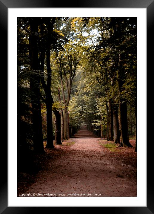 forest lane with trees vertical photo shot Framed Mounted Print by Chris Willemsen