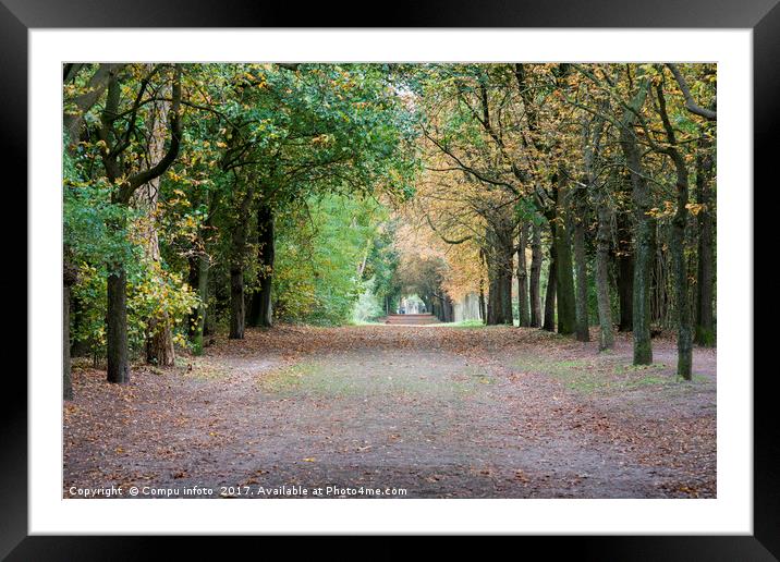 autum forest Framed Mounted Print by Chris Willemsen