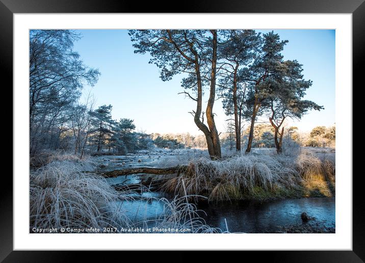 winter landscape with trees and water Framed Mounted Print by Chris Willemsen