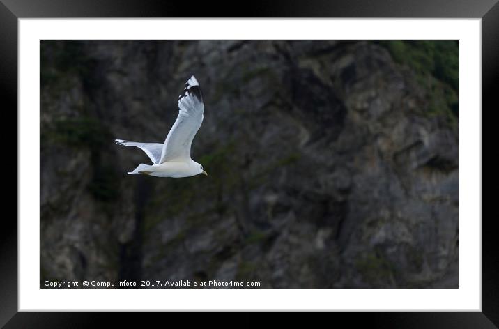 flying seagull with rocks as background Framed Mounted Print by Chris Willemsen