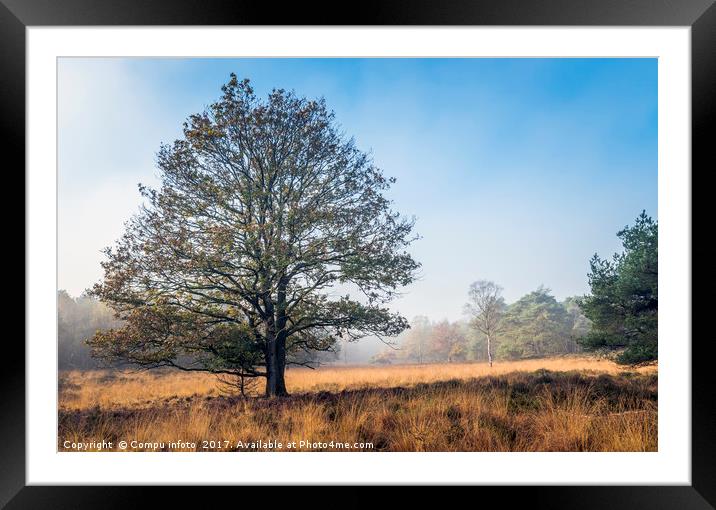 single tree in autumn landscape Framed Mounted Print by Chris Willemsen
