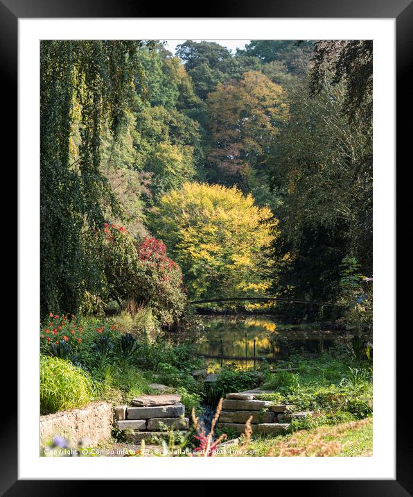 park and pond in autumn Framed Mounted Print by Chris Willemsen