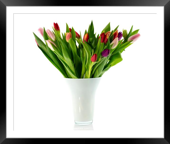bouquet of tulips in white vase Framed Mounted Print by Chris Willemsen