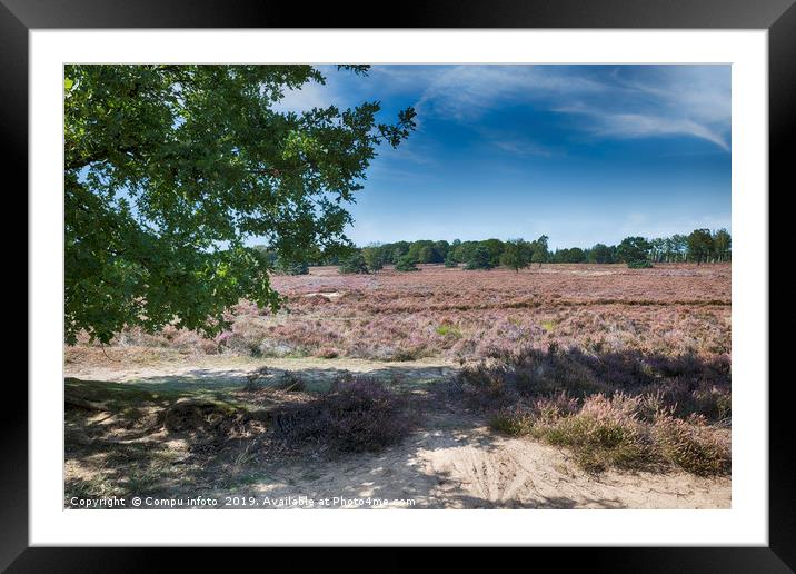 heather fields in september in the national park t Framed Mounted Print by Chris Willemsen