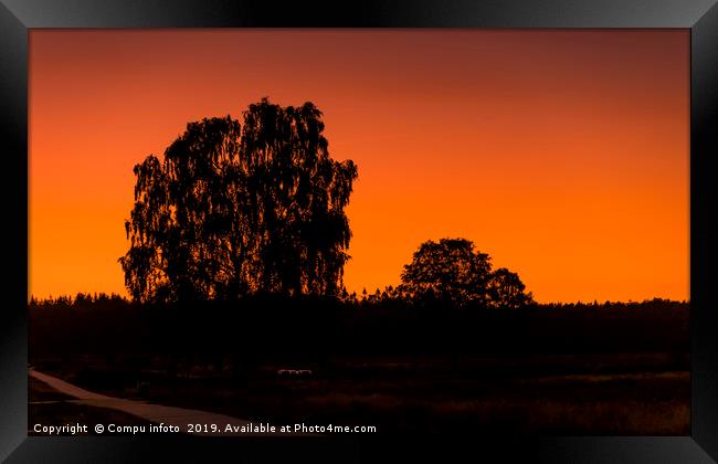silhouette from the trees on the veluwe during sun Framed Print by Chris Willemsen