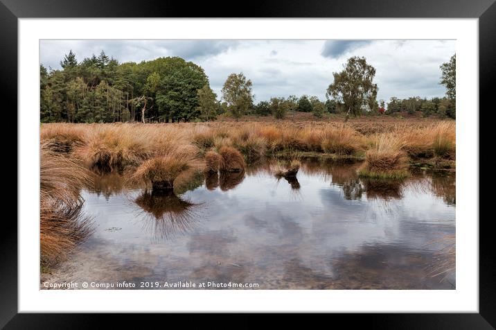 national park de sprengen in holland Framed Mounted Print by Chris Willemsen