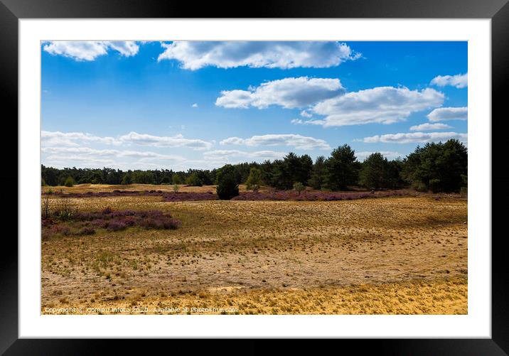 the nature reserve Maasduinen Framed Mounted Print by Chris Willemsen