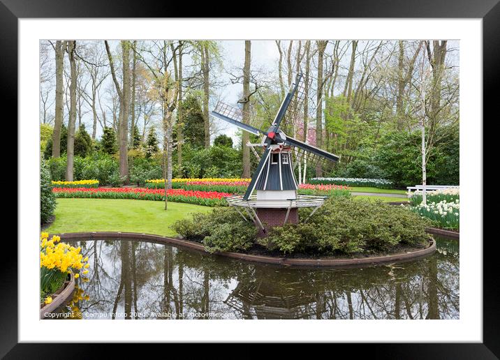 windmill and tulips in dutch Keukenhof Framed Mounted Print by Chris Willemsen