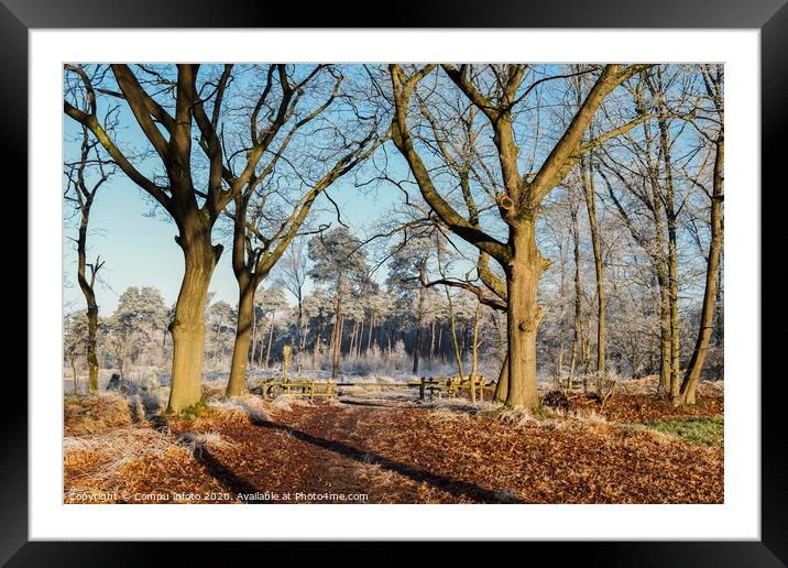 path in forest nature in winter Framed Mounted Print by Chris Willemsen