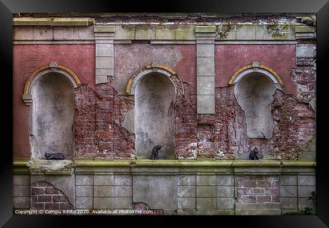 old wall with cats Framed Print by Chris Willemsen