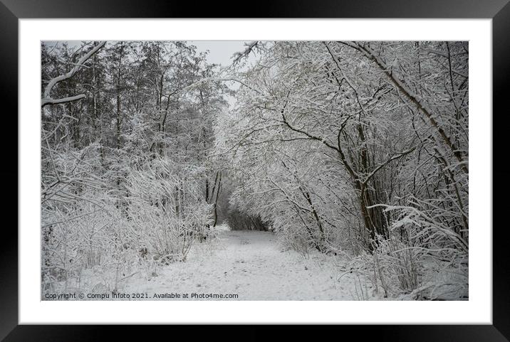 winter in the forest in holland Framed Mounted Print by Chris Willemsen