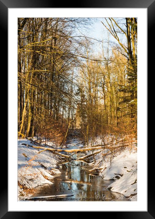 nature area waterloopbos in holland Framed Mounted Print by Chris Willemsen