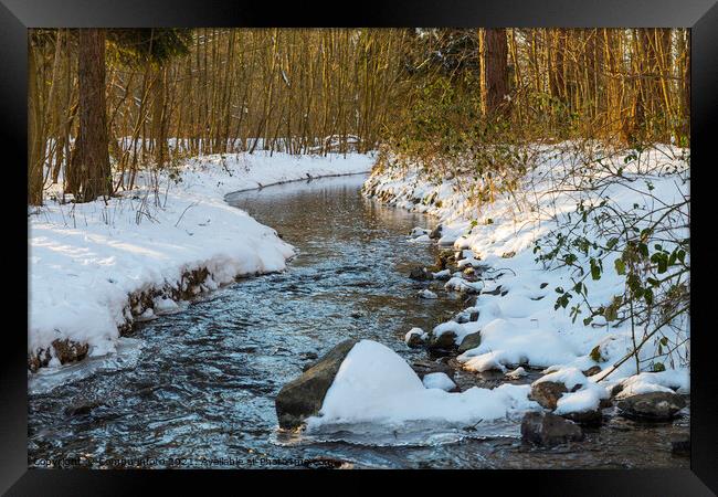 a river with  snow during a cold period in the nature area het waterloopbos in Holland Framed Print by Chris Willemsen