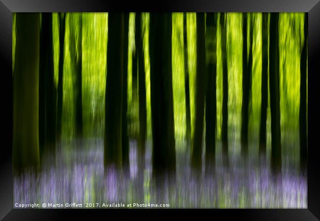 Impressions of a bluebell wood Framed Print by Martin Griffett