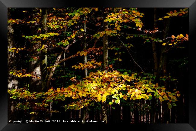 Autumn Leaves Framed Print by Martin Griffett