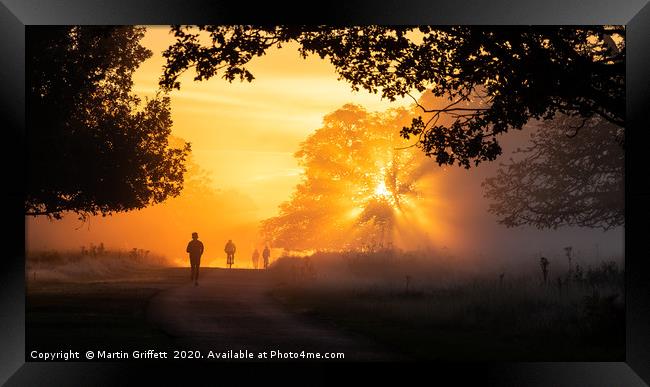 Richmond Park Framed Print by Martin Griffett