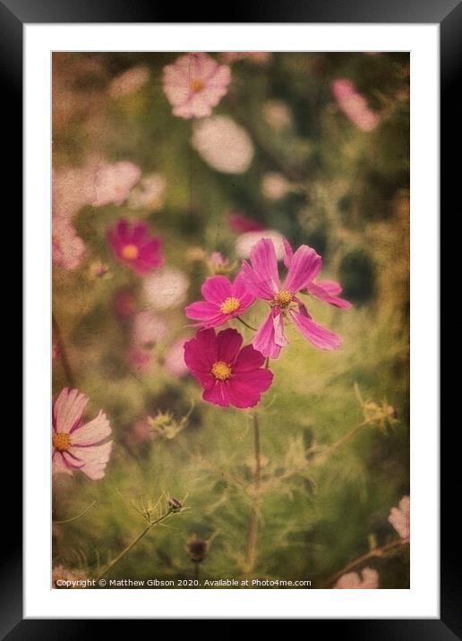 Beautiful image of meadow of wild flowers in Summer with vintage retro effect filters applied Framed Mounted Print by Matthew Gibson
