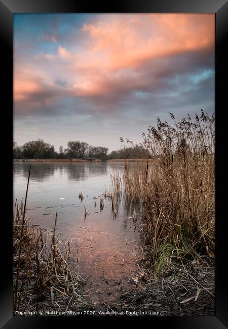 Stunning colorful Winter sunrise over reeds on lake in Cotswolds in England Framed Print by Matthew Gibson