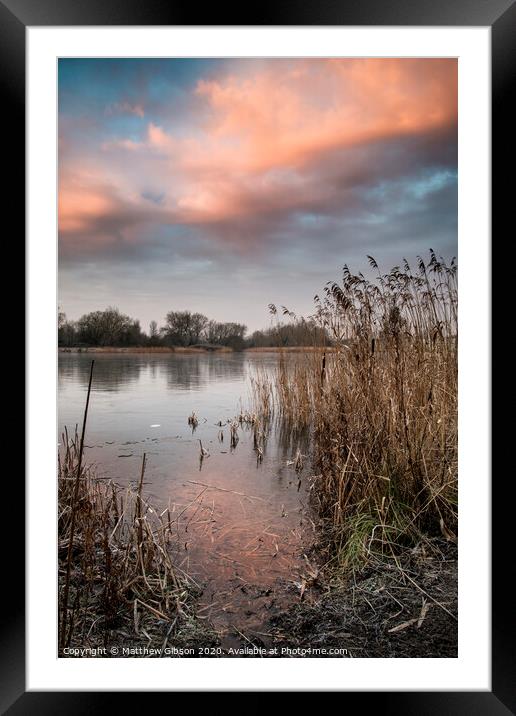Stunning colorful Winter sunrise over reeds on lake in Cotswolds in England Framed Mounted Print by Matthew Gibson