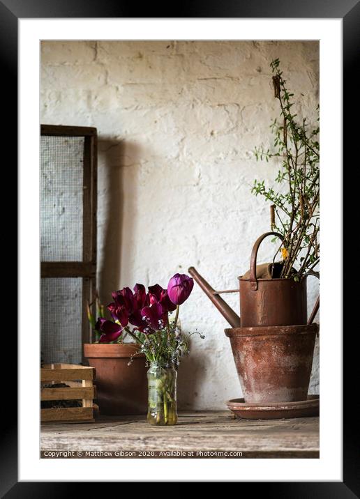 Beautiful old vintage English countryside garden potting shed interior detail Framed Mounted Print by Matthew Gibson