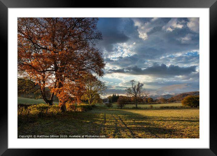 Stunning vibrant Autumn Fall landscape of countryside in Lake District with lovely golden light on trees and hills Framed Mounted Print by Matthew Gibson