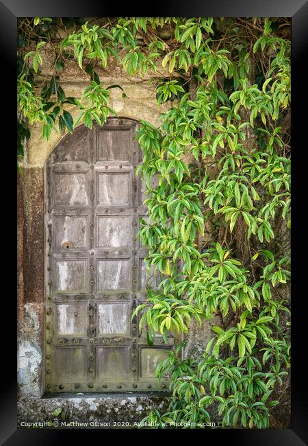 Beautiful vintage Victorian mansion entrance door surrounded by plants and tree Framed Print by Matthew Gibson