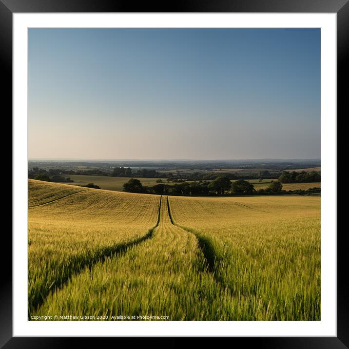 Stunning countryside landscape wheat field in Summer sunset Framed Mounted Print by Matthew Gibson