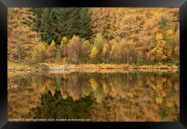 Beautiful colorful vibrant Autumn Fall landscape image of Blea Tarn with golden colors reflected in lake Framed Print by Matthew Gibson